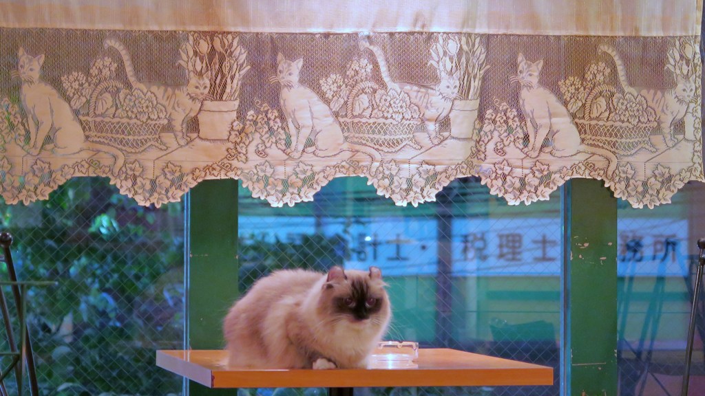 あたいのセンターポジション