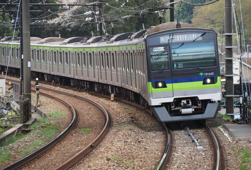 いざHANA＊BIYORI