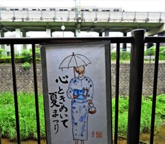 夜も綺麗だろうな