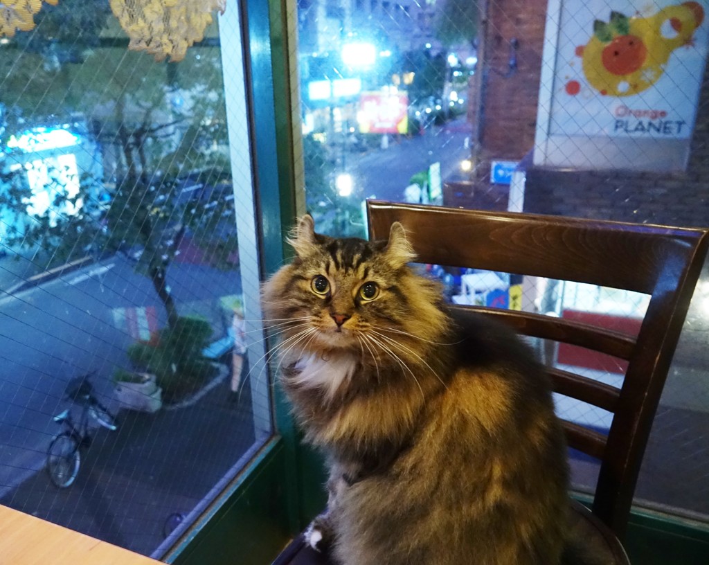 店長代理のカイ君