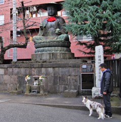 犬撮っちゃった