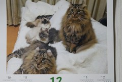 猫店長のカフェ「ディー・カッツェ」オリジナルカレンダー12月