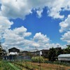 爽やかな五月晴れいずこ