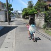 多摩川散歩