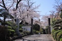 ビックリ仰天
