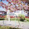 ピントさえ合っていれば