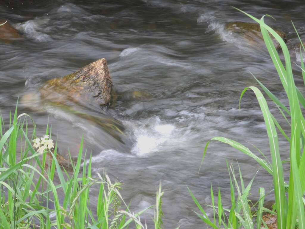 せせらぎを聞きながら
