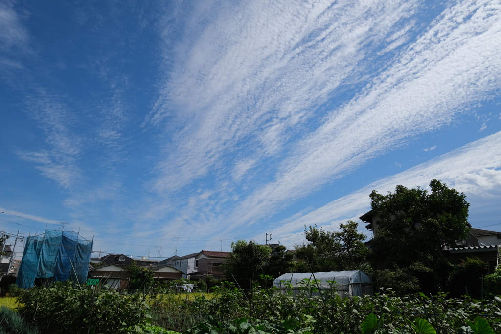 秋空