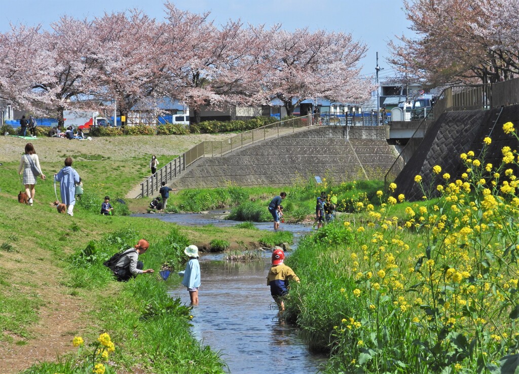 川遊び