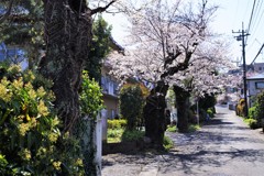 話題は訃報ばかり