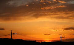 聖火リレー中止