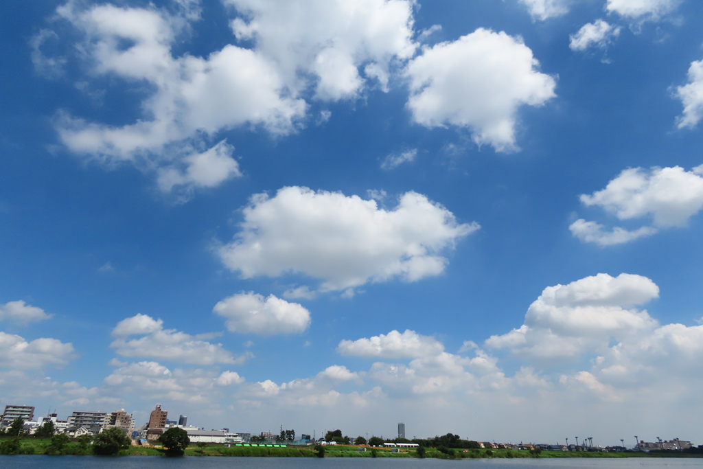 明日は散ってほしい雲