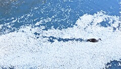 グングン進みます