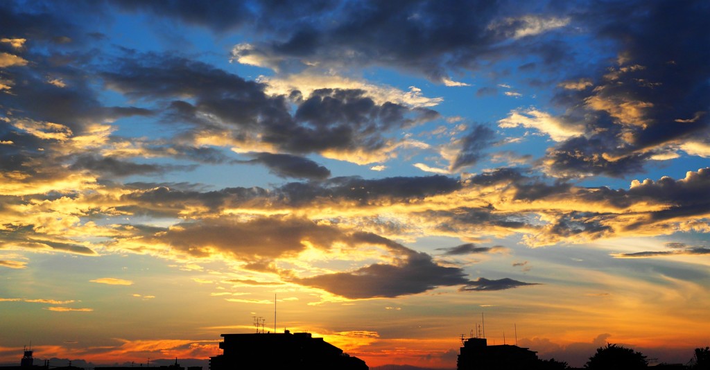 今日はこの程度