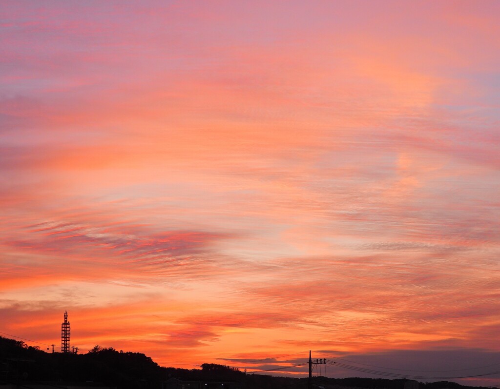 ピンクの夕焼け