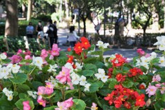 優しい時間帯