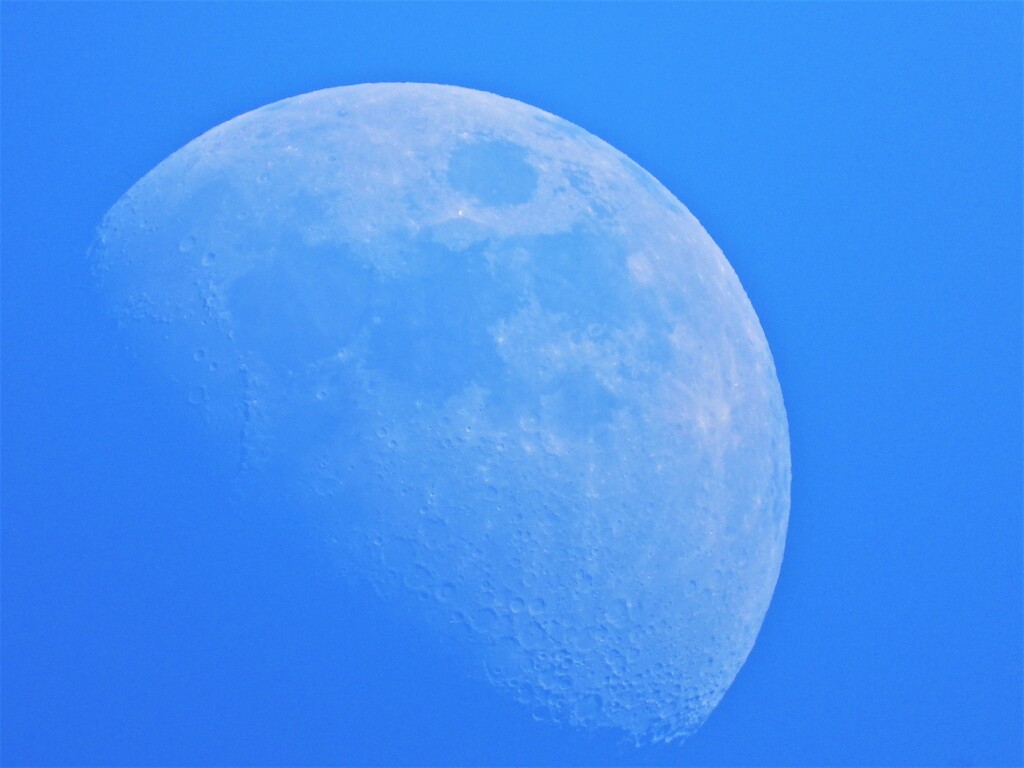 昼過ぎの半月
