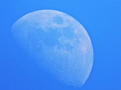 昼過ぎの半月