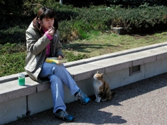 気づいてくれないので、さらに近づいてジーと見つめる