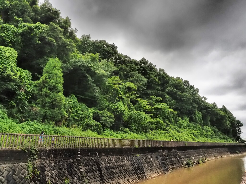 梅雨の合間