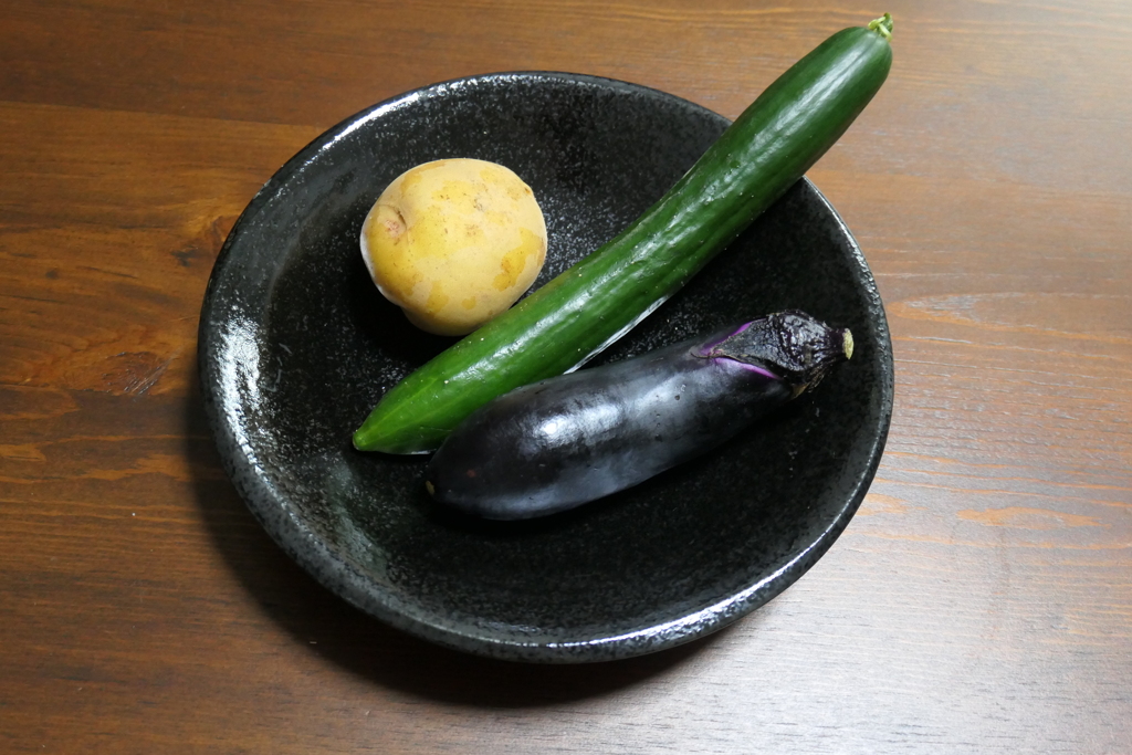 今日の収穫