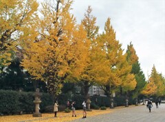 おんな3人寄れば