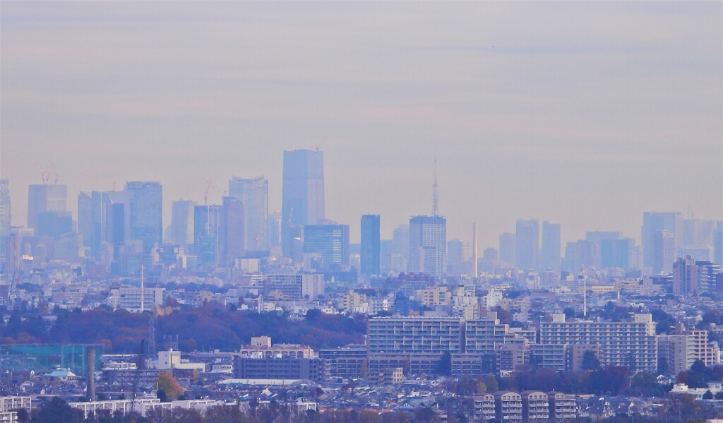 東京タワーと並ぶ高さ