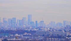 東京タワーと並ぶ高さ