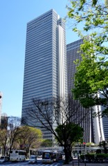 背筋も伸びる