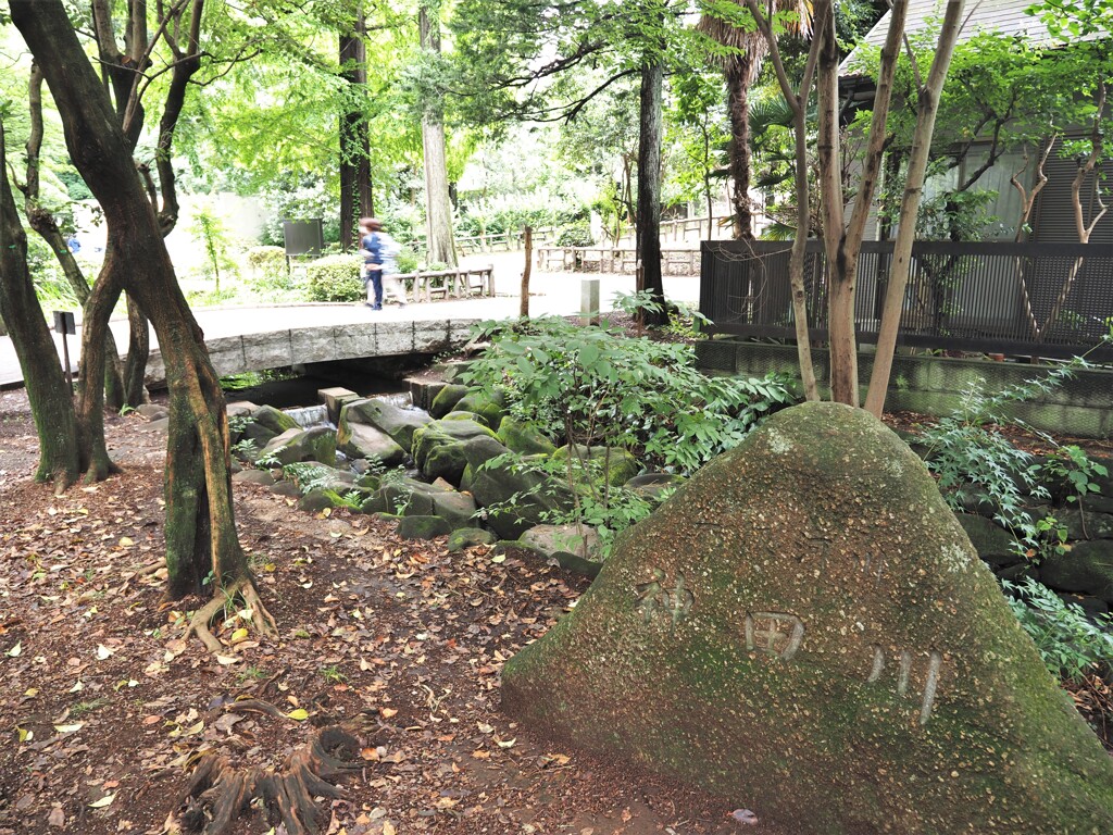 これが神田川か