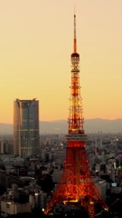東京タワー 東京タワー