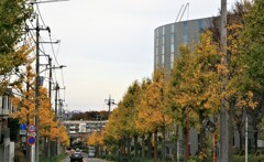 日本テレビ生田スタジオ前