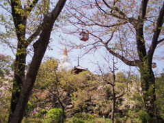 多宝塔と釈迦如来殿