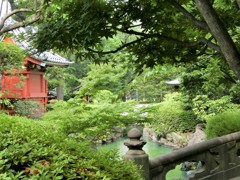 豊かな緑も