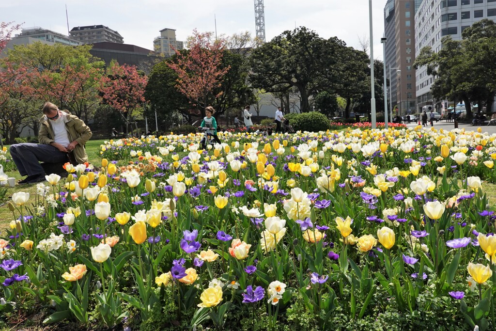 花園のパパ