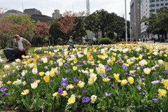 花園のパパ