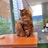 外見てないで営業しろニャ
