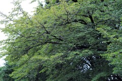あと7カ月