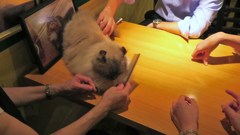 安部公房の不条理劇か