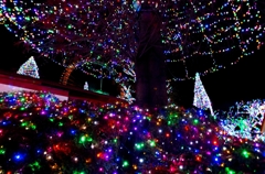 よみうりランド“ジェルミネーション”　９