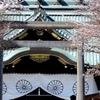 靖国神社拝殿と桜