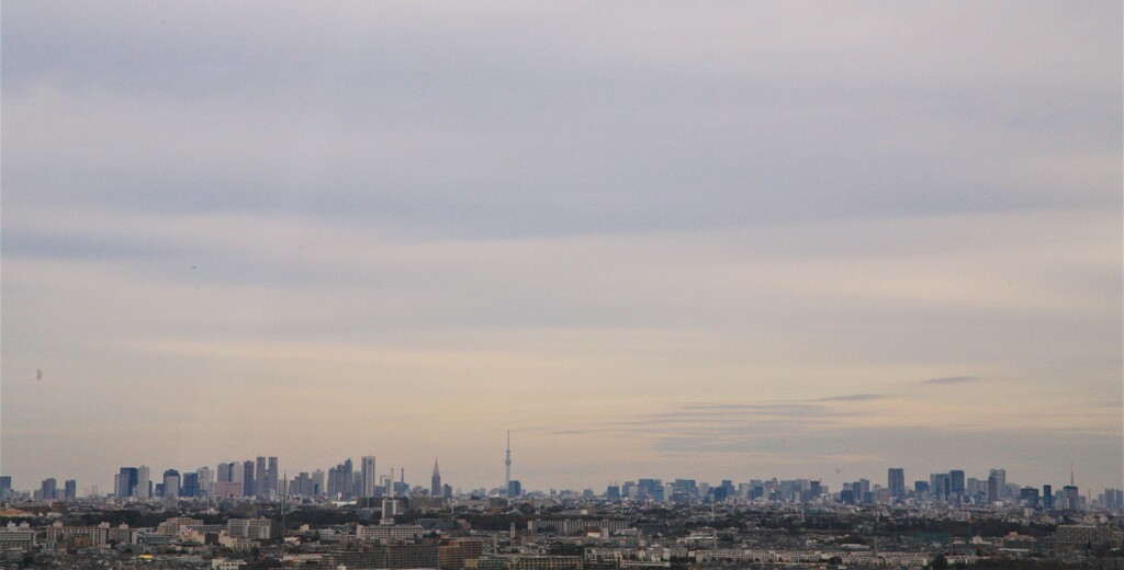 新宿も六本木も一望