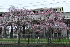 京王相模原線と