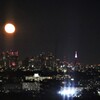 都庁を照らすように