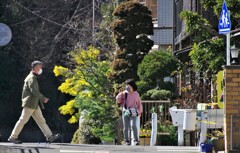 健康ウォーキング