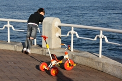 クラゲいないよ～