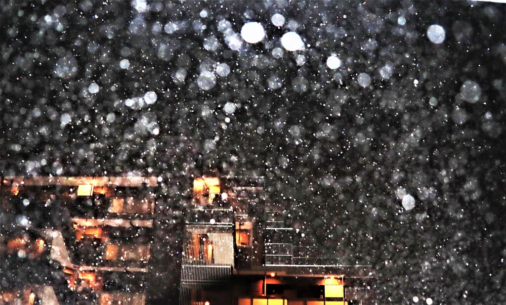 夜は豪雨だ雷鳴だ！ヾ(≧▽≦)ﾉ