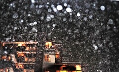 夜は豪雨だ雷鳴だ！ヾ(≧▽≦)ﾉ