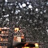 夜は豪雨だ雷鳴だ！ヾ(≧▽≦)ﾉ