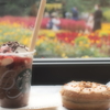 今日のメニュー